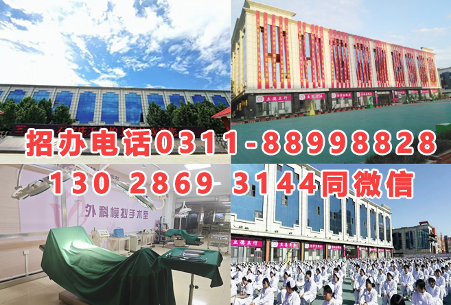 2026年石家莊天使護士學(xué)校秋季招生簡章